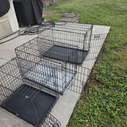 Dog Cages 3 Total 50.00 For All