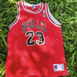 Kids Size Jordan Chicago Bulls Champion Jersey