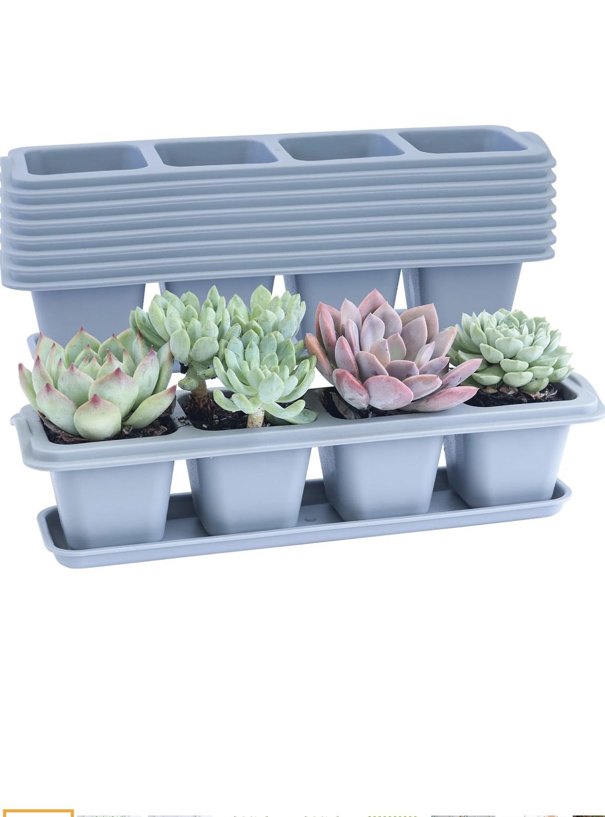 Succulent Pots, 8 Pcs Mini Flower Plant Containers for Succulent Cactus Flower,