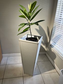 FLOWERPOT LARGE