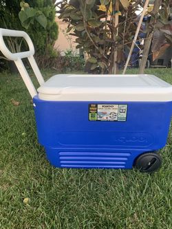 Cooler