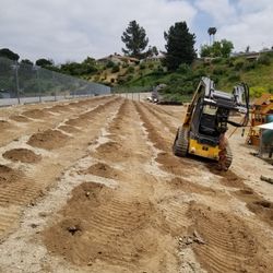 Skid Steer Tractor 