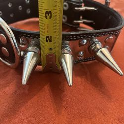 Spiked Leather Dog Collar