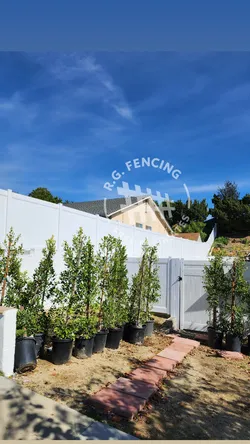 White vinyl fence