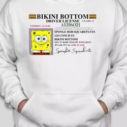 Bikini Bottom Sweaters 