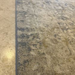 Rug 12x9