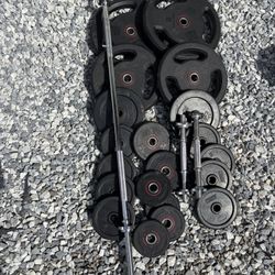 Weights Bars 