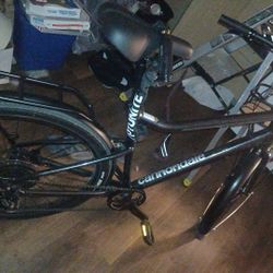 2025 Connondale Treadwell EQ L