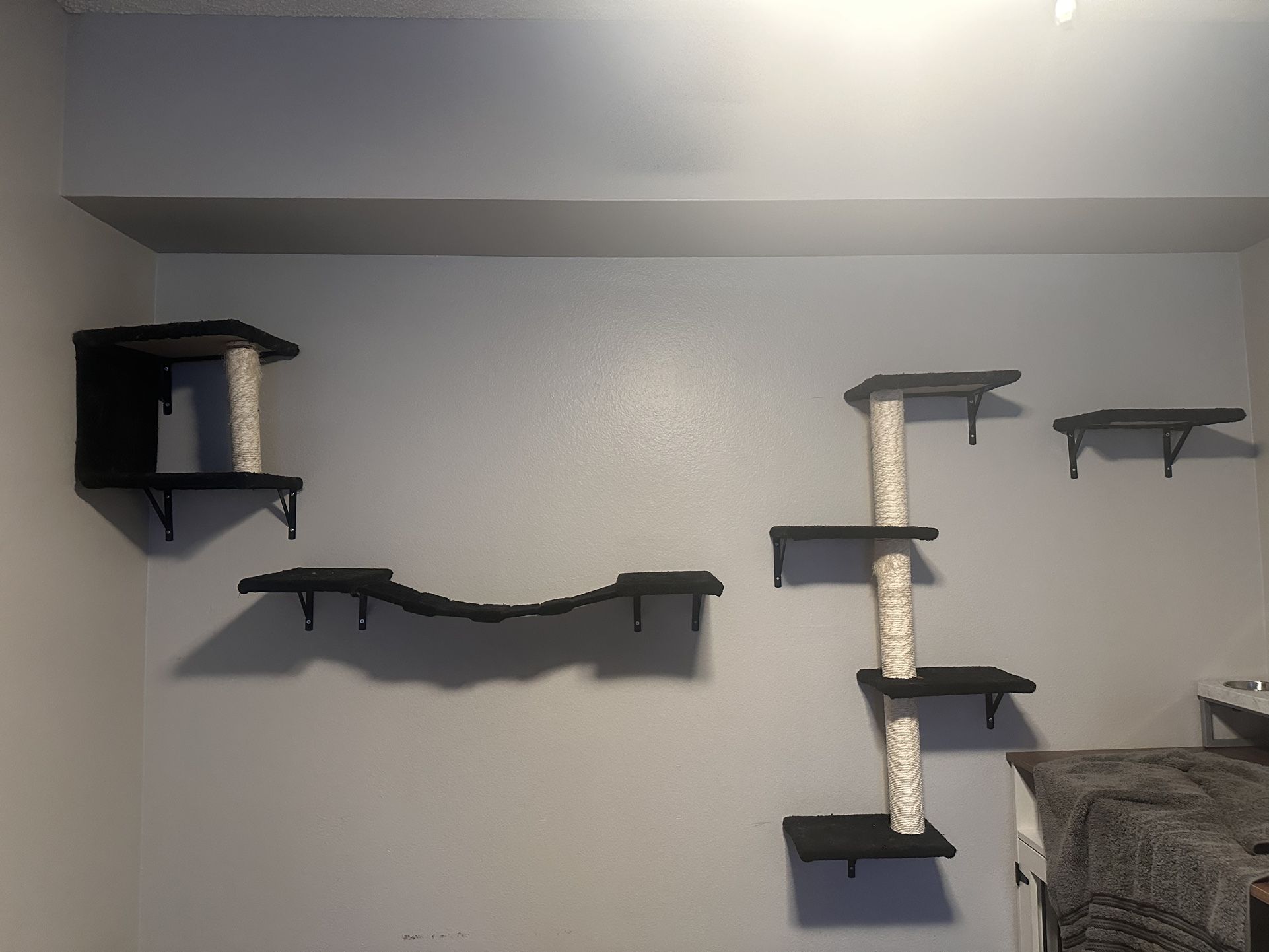 Cat Wall Furniture