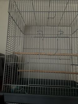 Bird cage