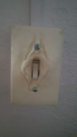 Switch plate cover