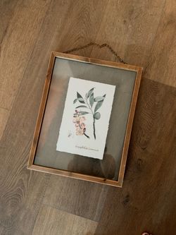 Framed Botanical Print — "Amygdalus Communis"