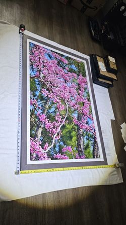 "Redbud" Framed Art