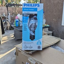 Phillips Metal Halide