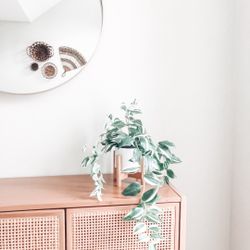 Artificial Wandering Variegated Plant minimalist Boho Decor