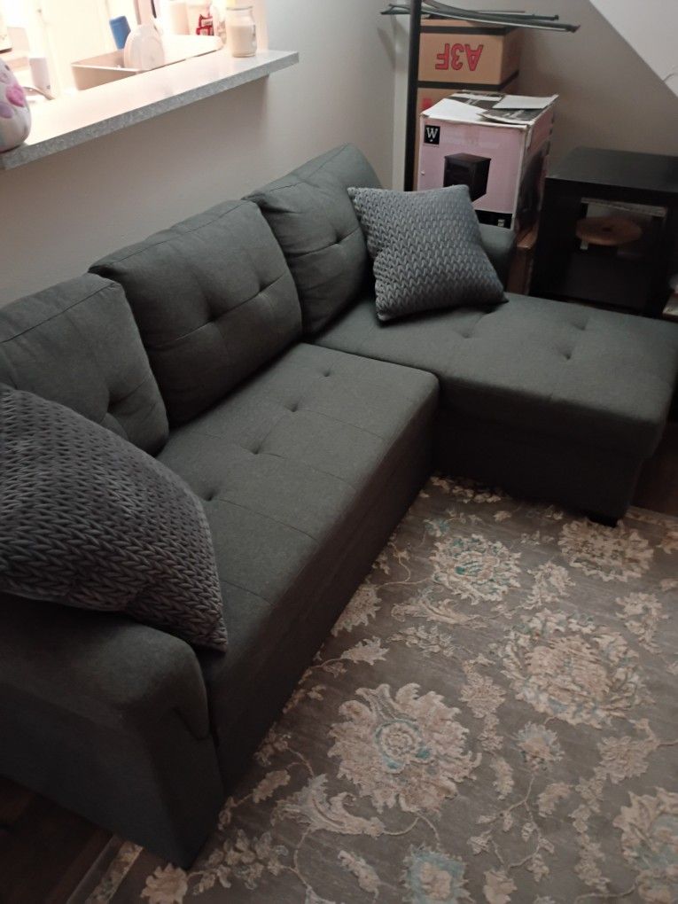 Pull Out Couch