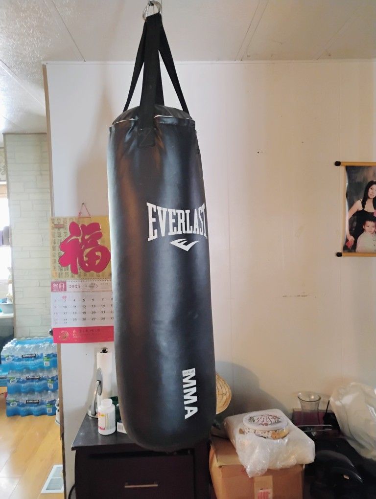 Everlast Punching Bag