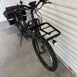 Magnum Payload Electric Bike 