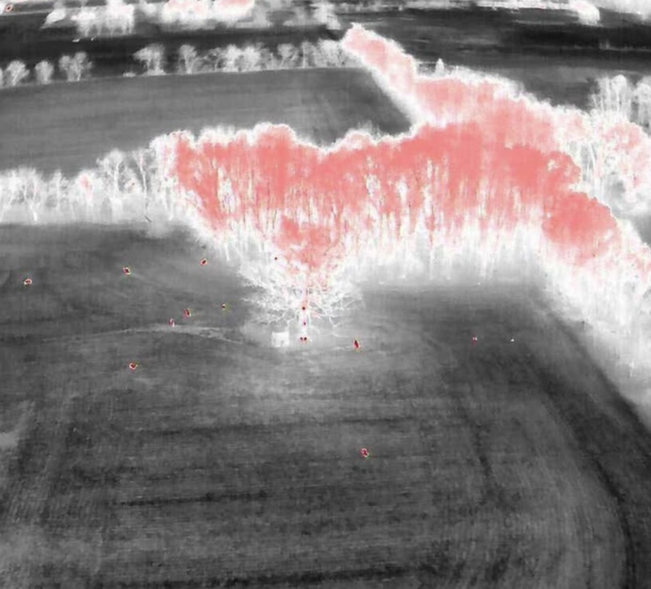 DJI Mavic 3T Thermal Drone
