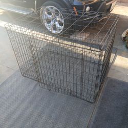 Dog Cage