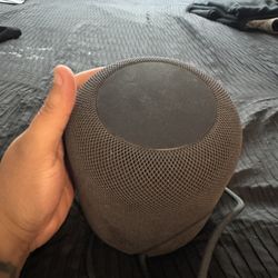 Apple Homepod 