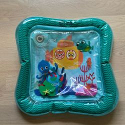 Baby Einstein Sensory Splash Pad 