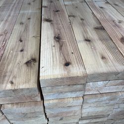 Japanese cedar/ cedro japon/ cerca y pergolas