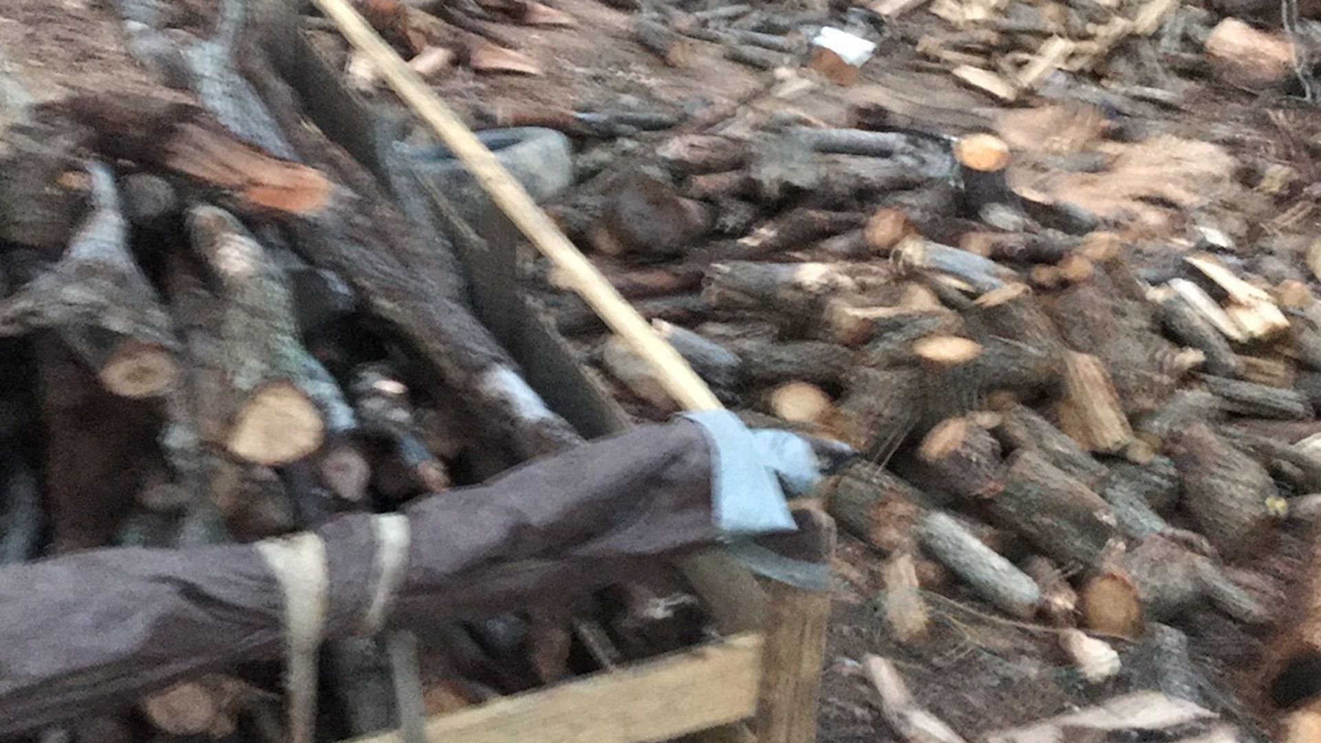 Firewood