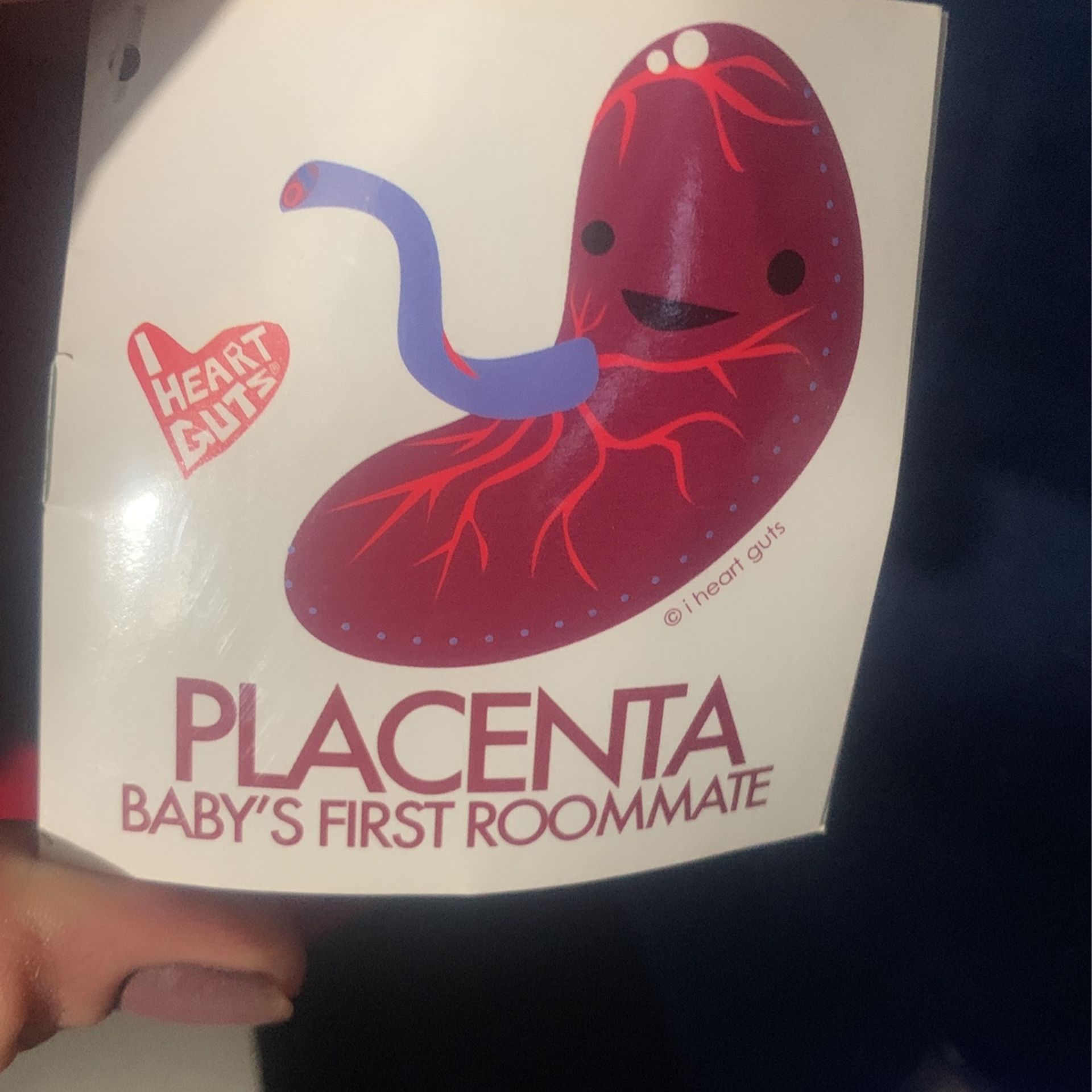 Replacement Security Doll? Look No Further