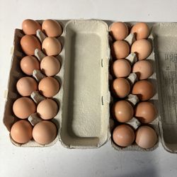Fresh Eggs For Sale 