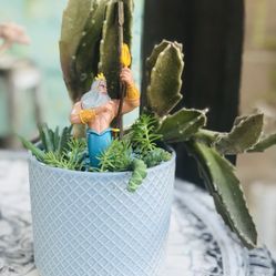 $16 Triton (Little Mermaid) Inspired Garden