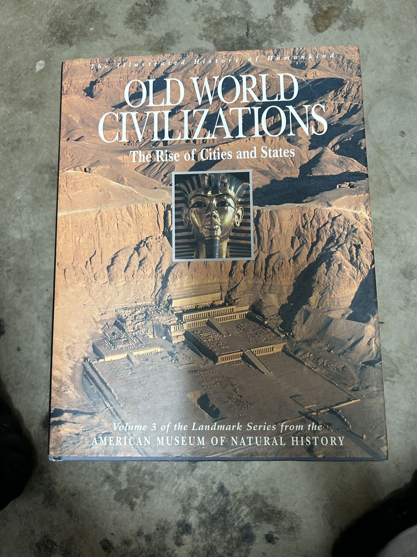 Old world civilizations, the rise of cities and states book