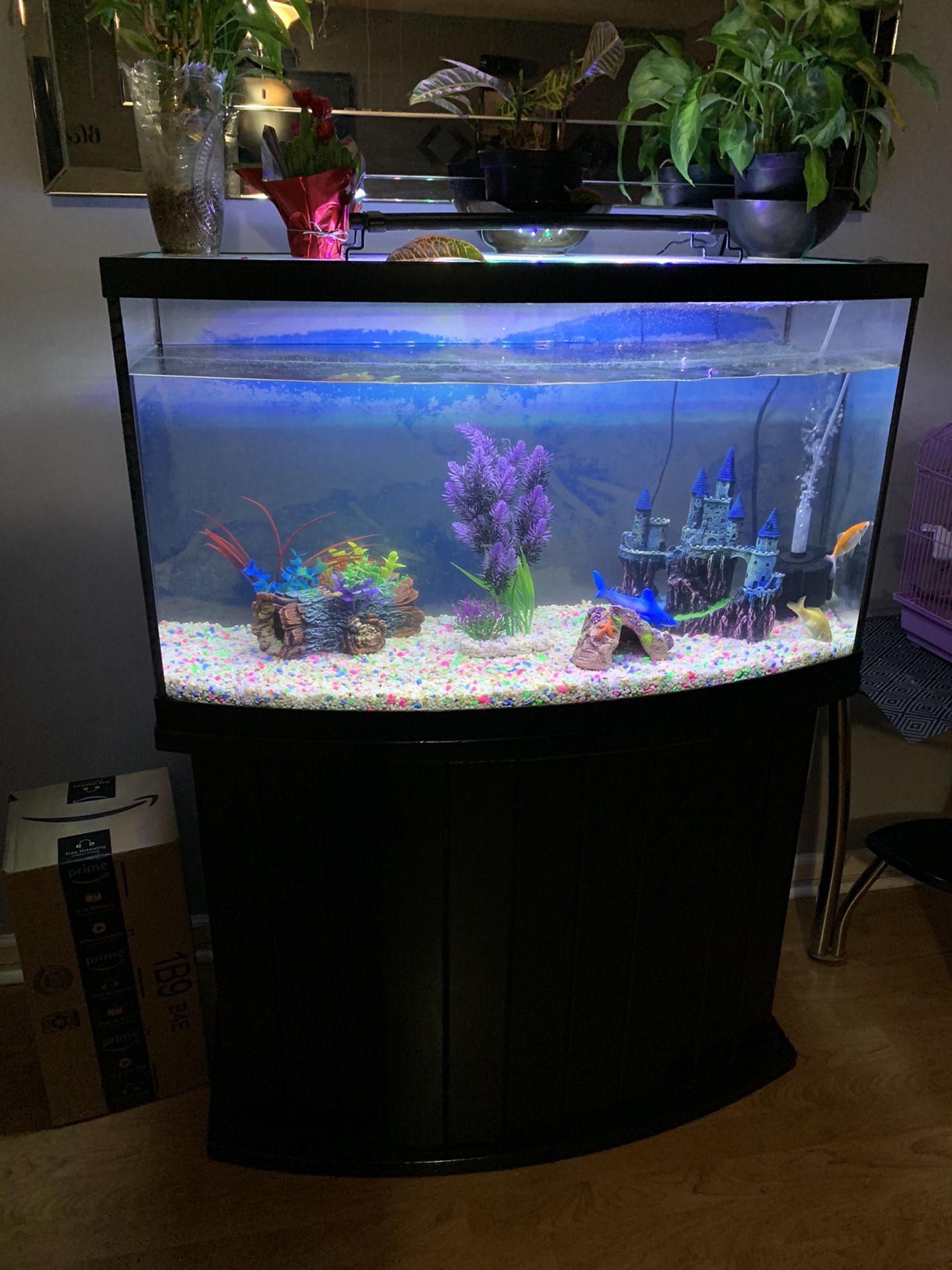 Beautiful fish tank for sale