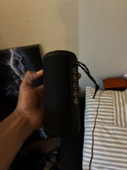 Ortizan speaker