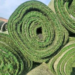 Synthetic Artificial Grass *** El Paso Tx ♻️👍