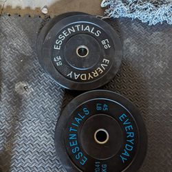 Gym Equipment [PENDING PICK-UP]