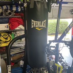 Everlast Punching Bag (75 Pounds Maybe) With Stand