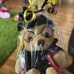 Teddy Bear For Graduate 