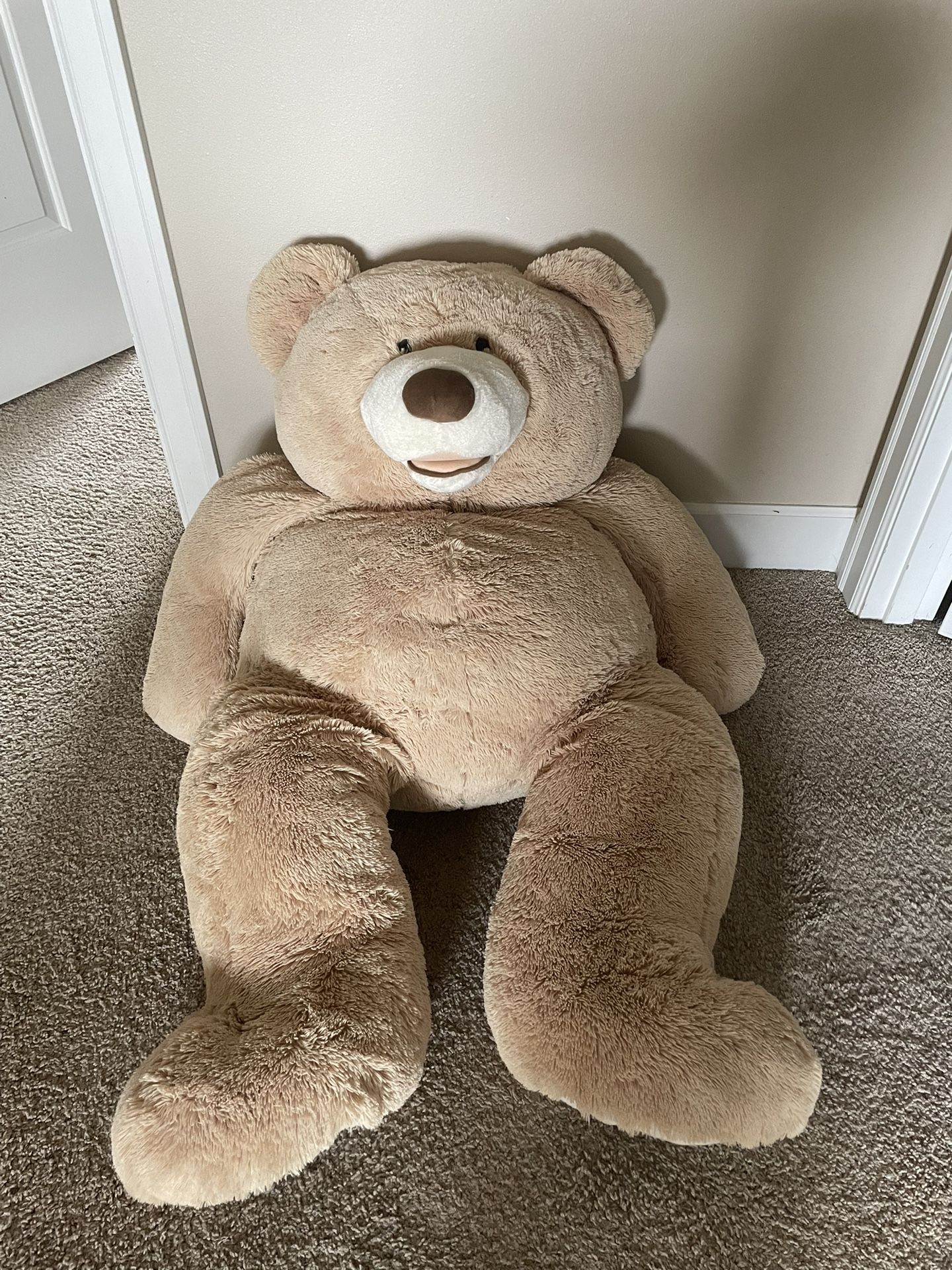 Extra Large Teddy Bear