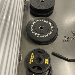 Rack, Body Solid Home Gym, Rowing Machine, Olympic Bar and Bumper Plates