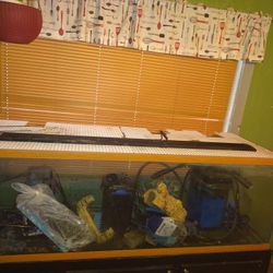 Fish Tank