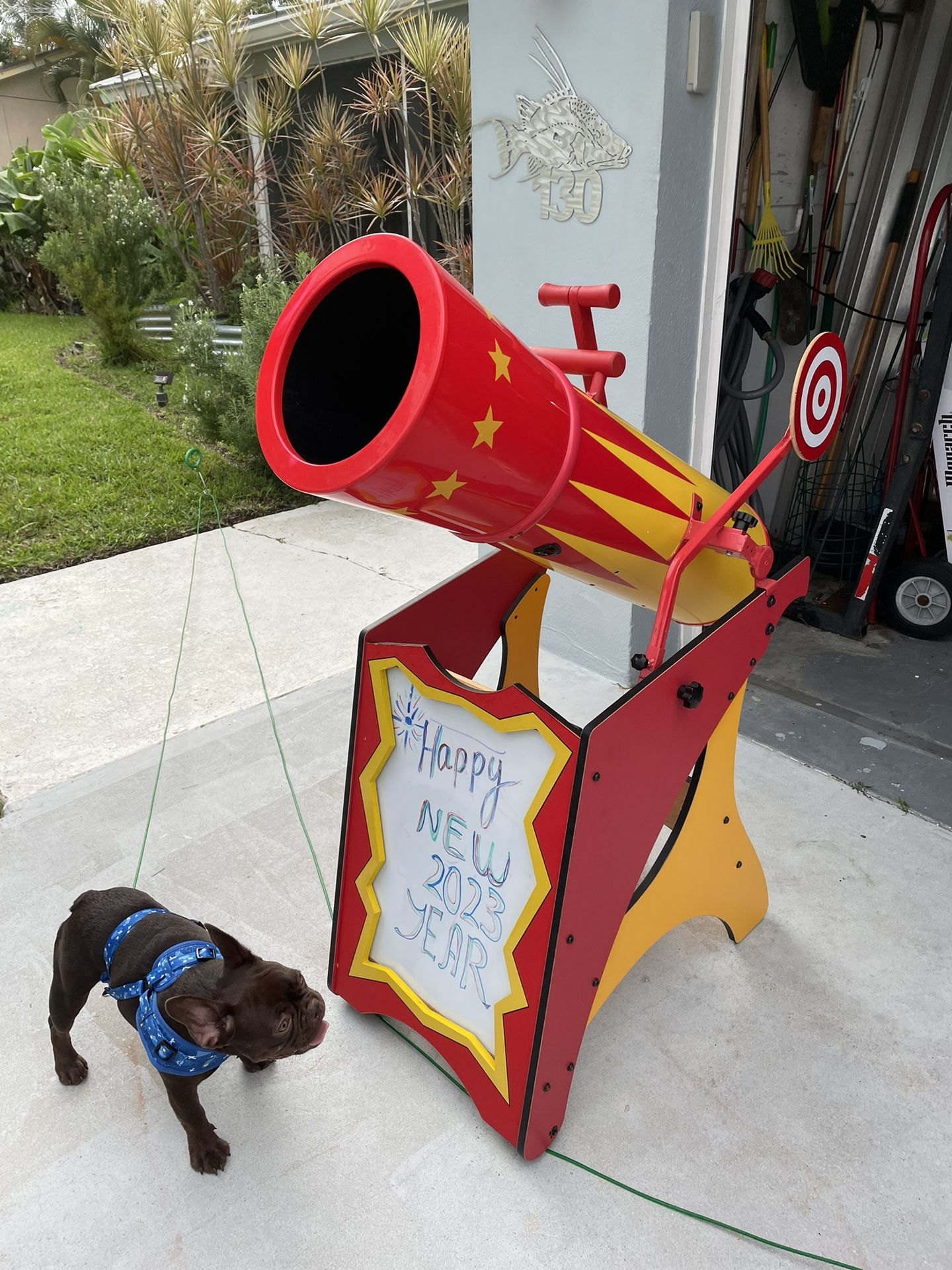 Party Candy Cannon