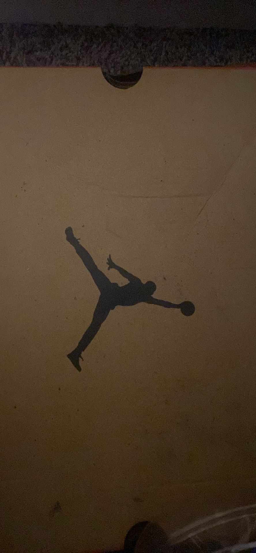 Jordan 12 Retro sneakers with purple