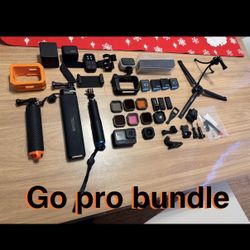 Go Pro 10 Black Bundle 