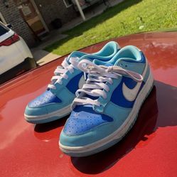 Nike Dunks Size 9.5