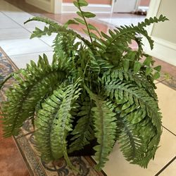 Fern Plants Artificial  Plus 4 Other Silks 