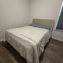 Bed frame and Mattress 
