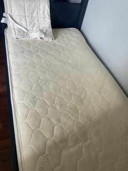 Naturepedic Mattress Twin