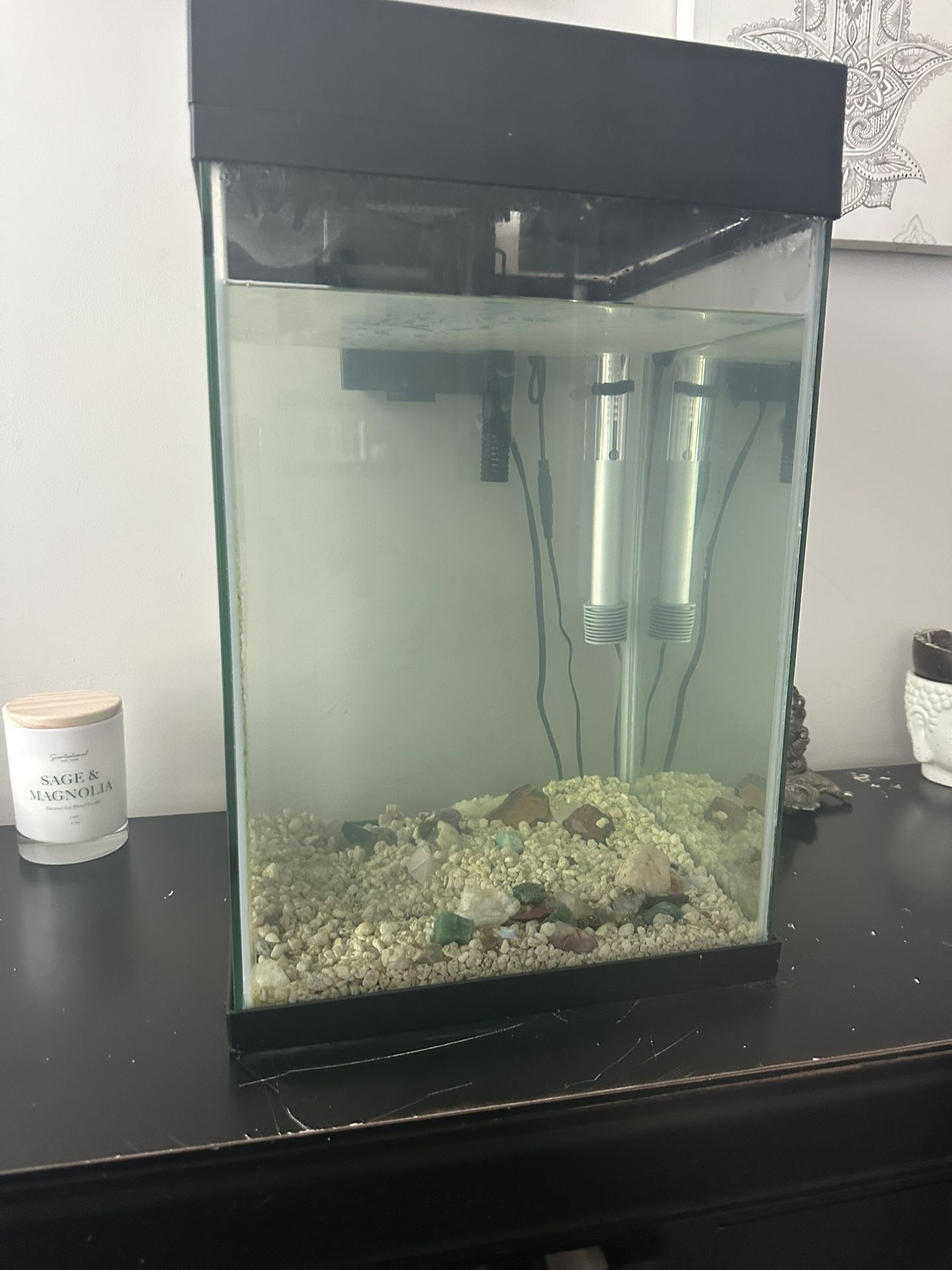 Fish Tank 
