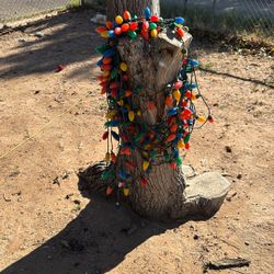 Luces De Navidad Son  100 Pies Y Los Focos No Se Quiebran